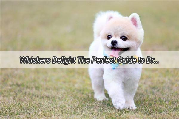 Whiskers Delight The Perfect Guide to Brew the Ultimate Puppy Porridge